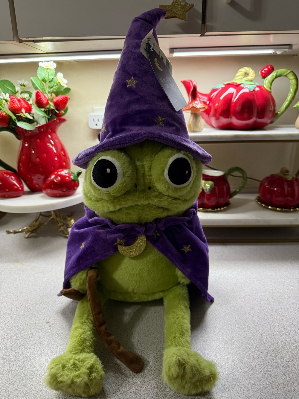 NWT 2026 Moonlight Manor Halloween Frog wizard